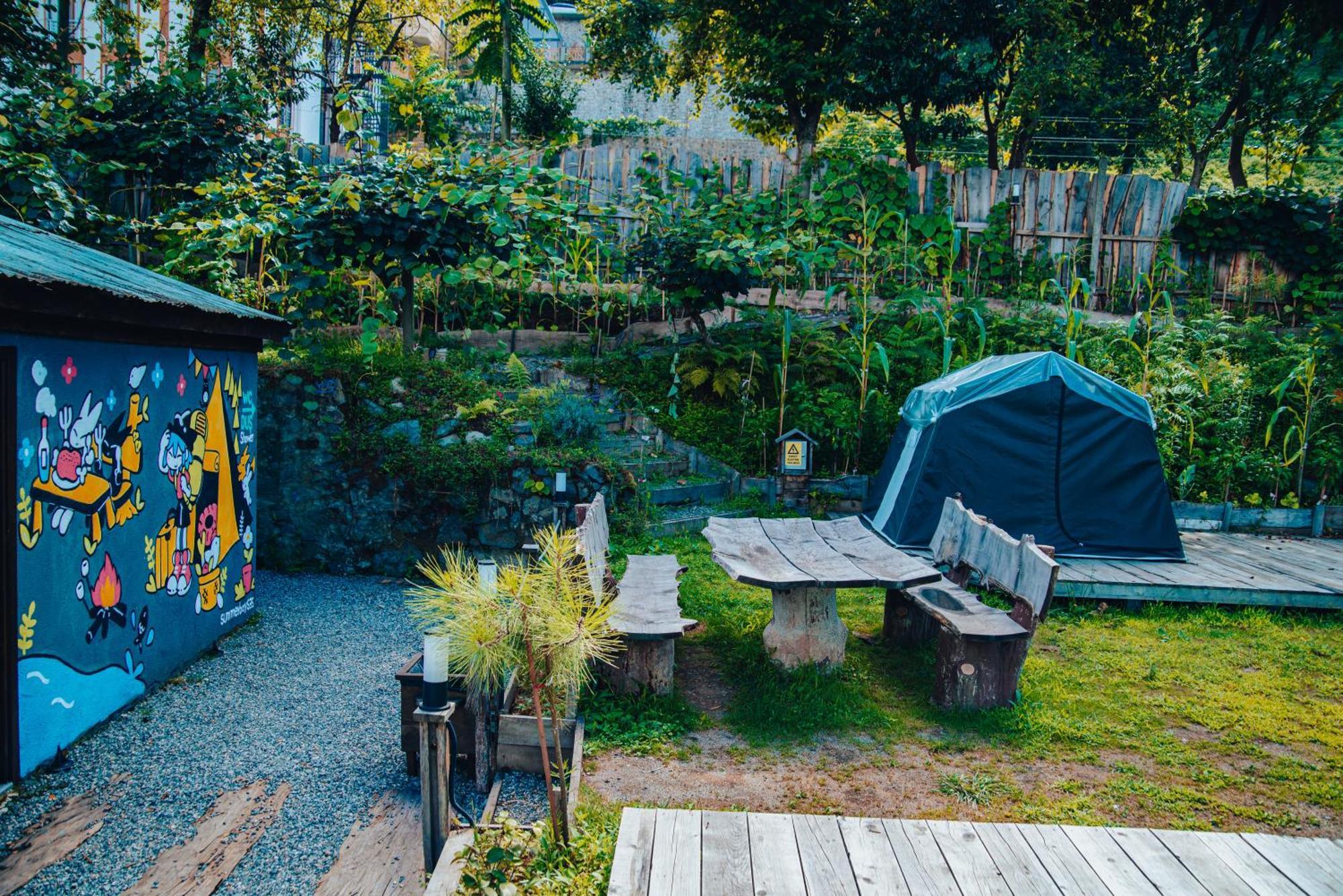 Danzi Camping Tiny House Rize Extérieur photo