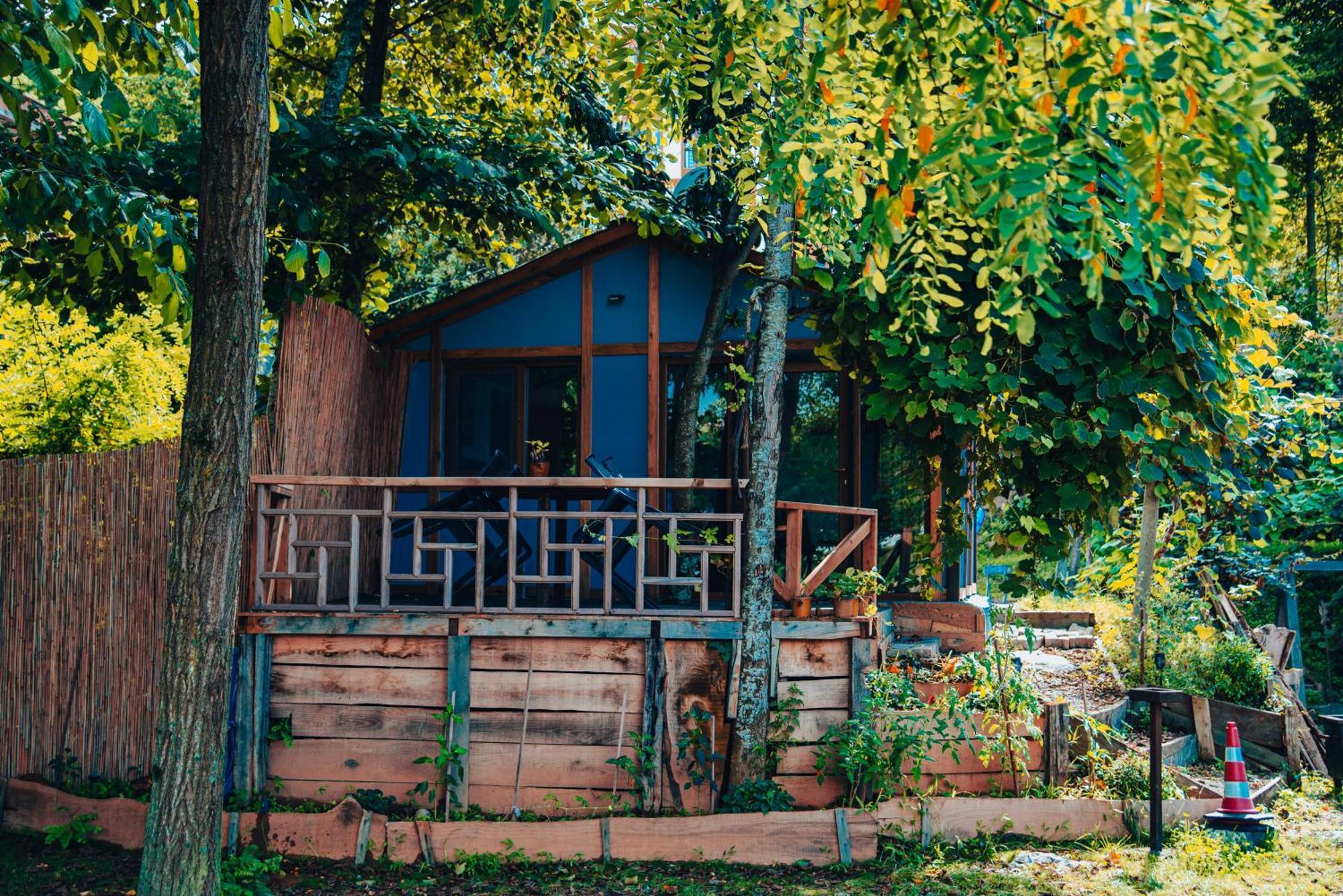 Danzi Camping Tiny House Rize Extérieur photo